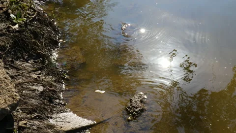 Wabash River ripple with  sunlight Stock Footage 168089342