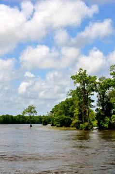 Waccamaw river with clouds Fotos Stock