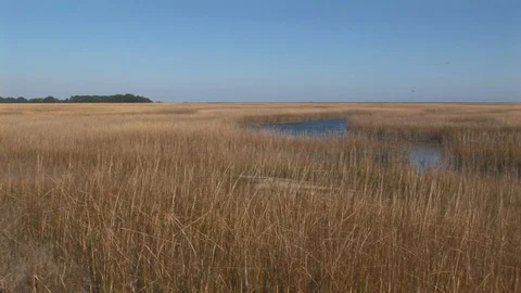 Wachapreague marshland in Accomack county Eastern shore of Virginia, USA Stock Footage 101354861