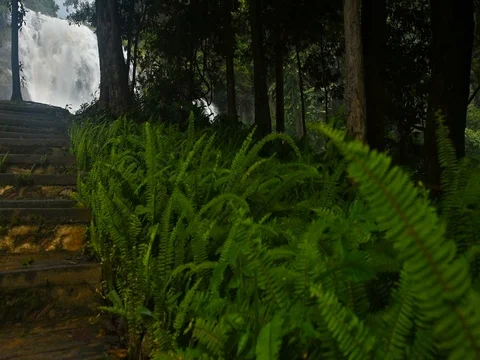Wachirathan waterfall : waterfall in doi inthanon park, Chiang mai,Thailand. Video stock 77372878