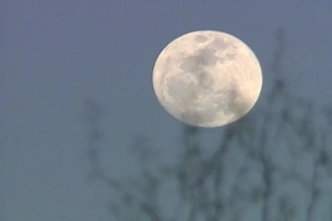 Waco ATF 40 Stock Footage 301622