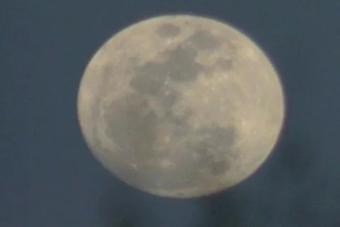 Waco ATF 41 Video stock 301621