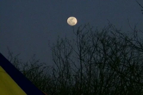 Waco ATF 43 Video stock 301615