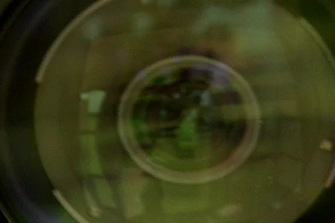 Waco ATF 53 Video stock 301598