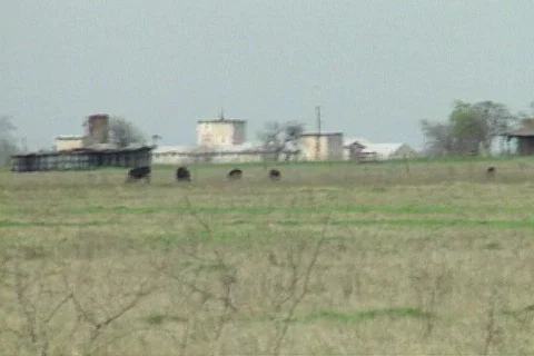 Waco ATF 67 Stock Footage 301549