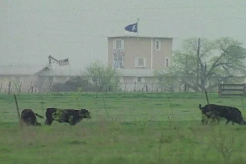 Waco ATF 93 Stock Footage 301236