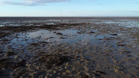 Wadden Beach Close Encounter: Drone Reveals Intricate Tidal Landscape Stock Footage 240987128