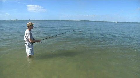 Wade Wide Stock Footage 303267