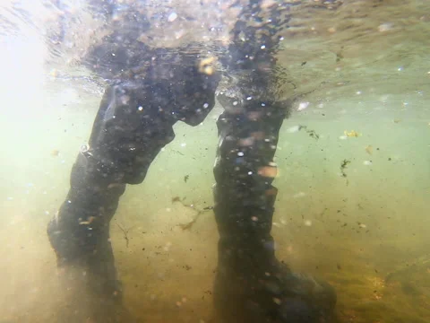 Waders and Waterproof Boots of Fly Fisherman Walking Underwater Shot Video stock 136048277