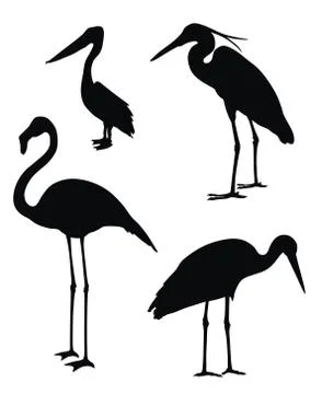 Waders Stock Illustration
