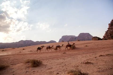 Wadi Rum Desert Stock Photos