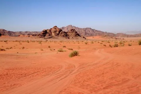 The wadi rum Stock Photos