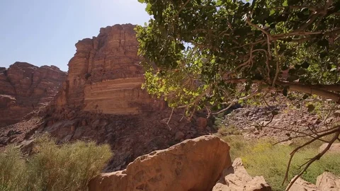 Wadi Rum tree to valley rocks pan 2b Stock Footage 95577073