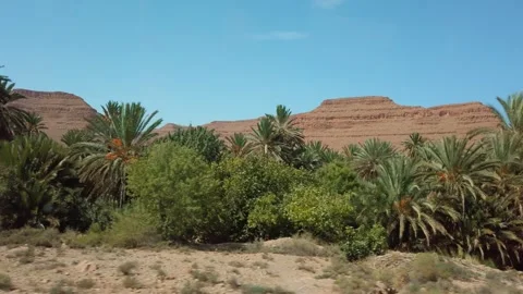 A wadi winds through Morocco's Ziz Valley with date palms and desert mountains Stock Footage 336504932