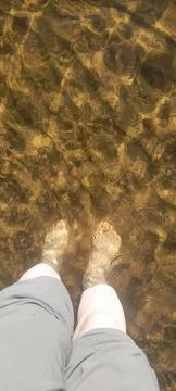 Wading 스톡 사진