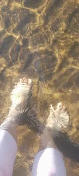 Wading 스톡 사진