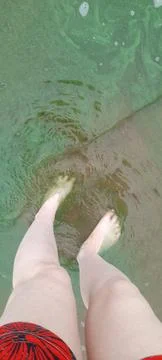 Wading 스톡 사진
