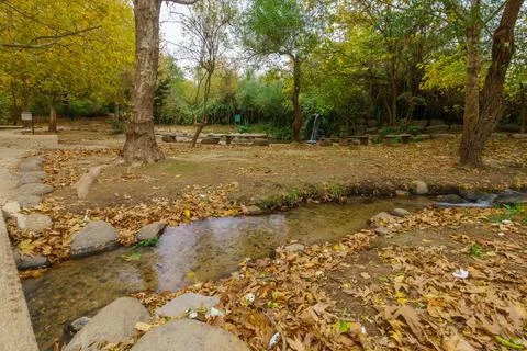 Wading pools, and fall foliage, in Snir Stream Nature Reserve Stock Photos