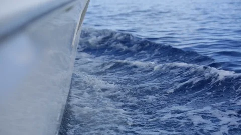 Wading Water Stock Footage 105221910