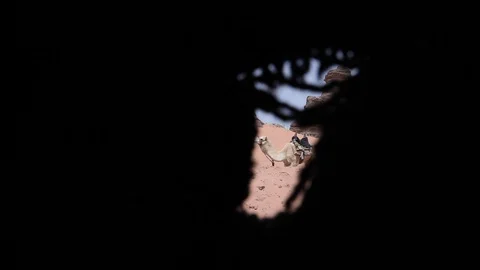 WADIRUM 1 Stock Footage 128574418