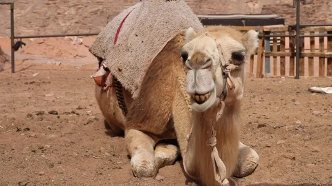 WADIRUM 11 Stock Footage 128574511