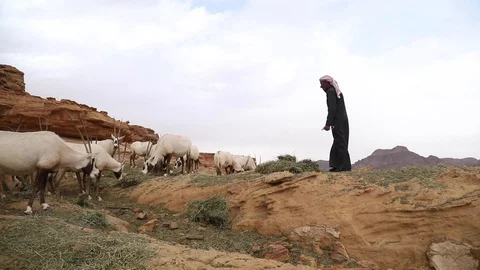 WADIRUM 12 Stock Footage 128574510