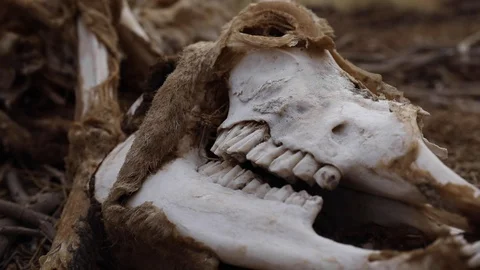 WADIRUM 17 스톡 동영상 128574534