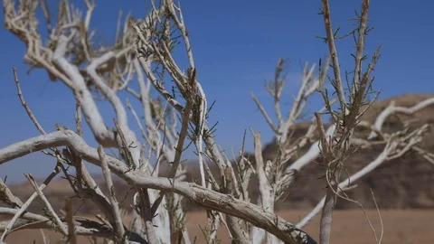 WADIRUM 28 스톡 동영상 128574545