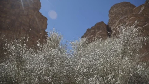 WADIRUM 29 스톡 동영상 128574544