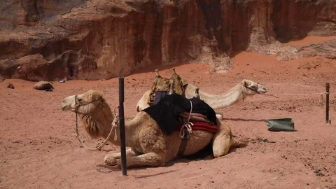 WADIRUM 3 스톡 동영상 128574427