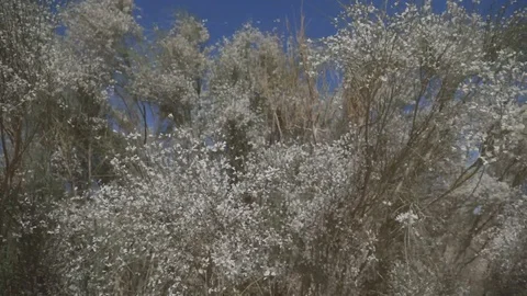 WADIRUM 30 스톡 동영상 128574556