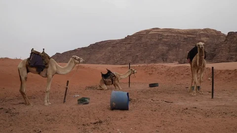 WADIRUM 5 Stock Footage 128574473