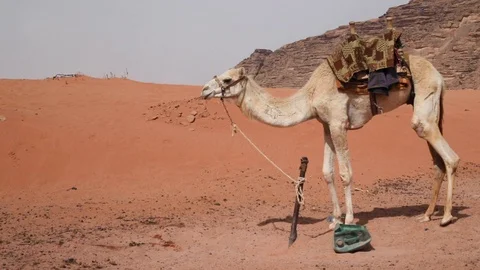 WADIRUM 6 스톡 동영상 128574480