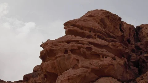 WADIRUM 8 스톡 동영상 128574476