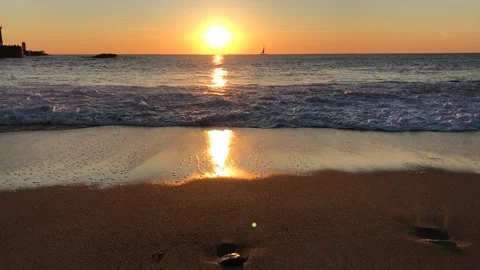 The wafe Video stock 169408109