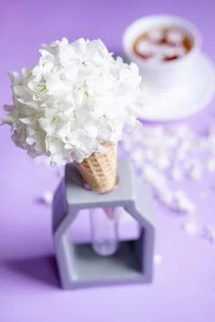 Waffle cone with hydrangea on purple background. Delicate still life with flo Stock Photos