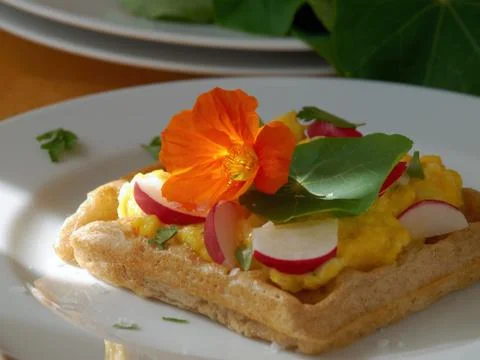 Waffle from rye bread dough with scrambled eggs, topped with radishes, parsle Stock Photos