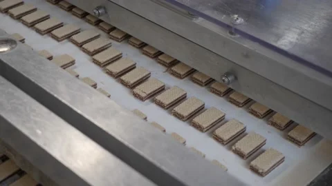 Waffle sweets move along the conveyor  库存影片 146160458