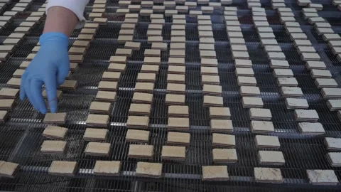 Waffle sweets move along the conveyor  Stock Footage 146160660