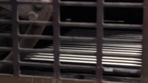 Waffles 023 Video stock 122336181