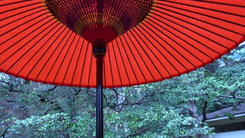 Wagasa Stock Footage 331660217