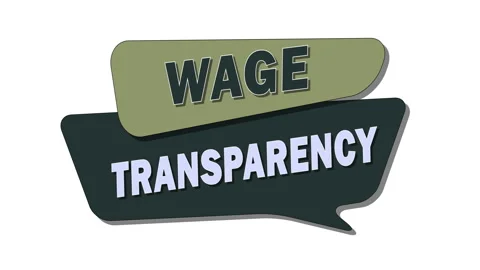 Wage transparency is the practice of openly sharing information about salaries Stock Footage 305470918