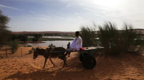 Wagon by the desert Stockbeeldmateriaal 68004499