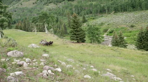 Wagon with Horses Approaching Stock Footage 43400818