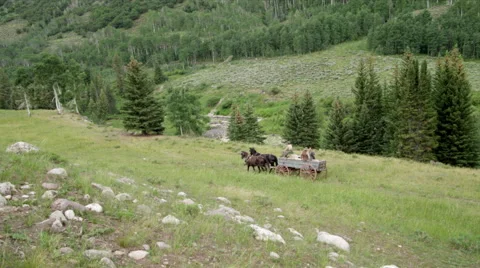 Wagon with horses Stock Footage 43400094