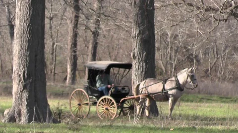 Wagon Pulled by Horse Stock Footage 123619202