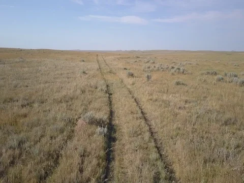 Wagon Train Wheel Tracks Ruts in Great Plains Prairie Grassland Stock Footage 77649661