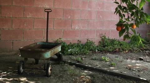 Wagon under Tree 2 Stock Footage 738313