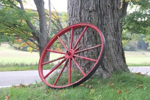 Wagon wheel against tree Stock Photos