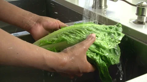 Wahing Lettuse Slow Motion Vídeo Stock 75430213